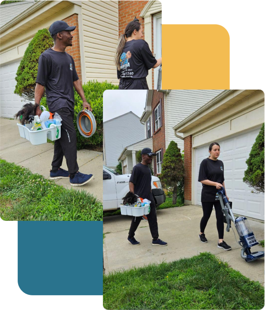 Professional cleaner